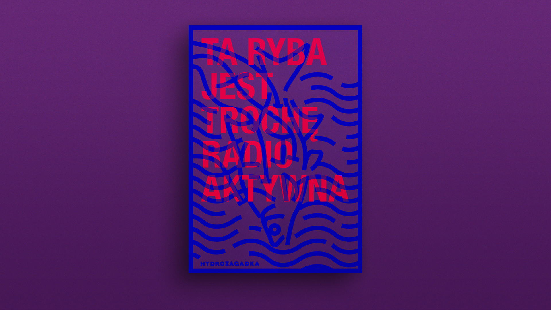 hydrozagadaka poster 2